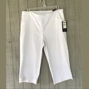 Briggs Slimming Solution Pants